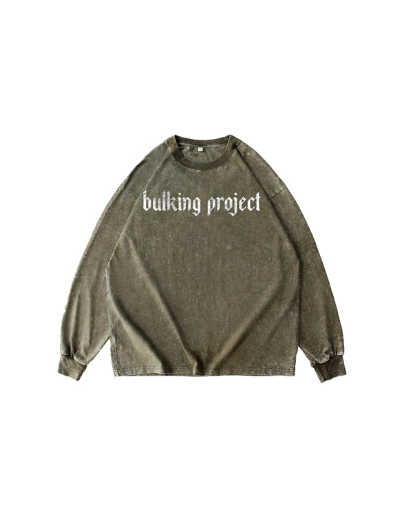 Bulking Project- Longsleeve